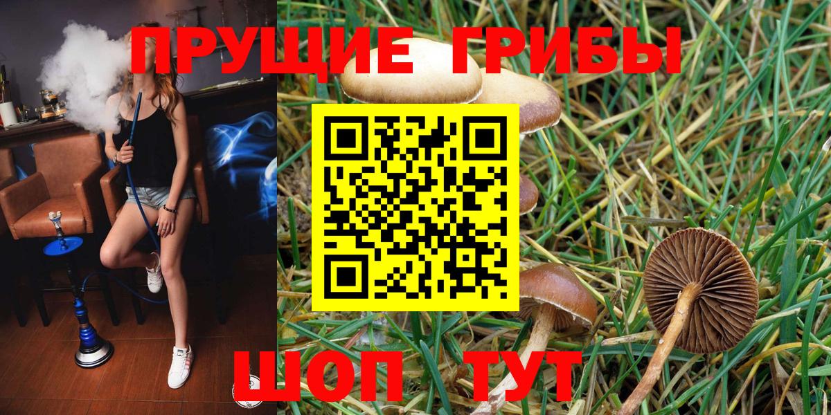 Унеча  Псилоцибиновые грибы GOLDEN TEACHER  Вход с VPN 