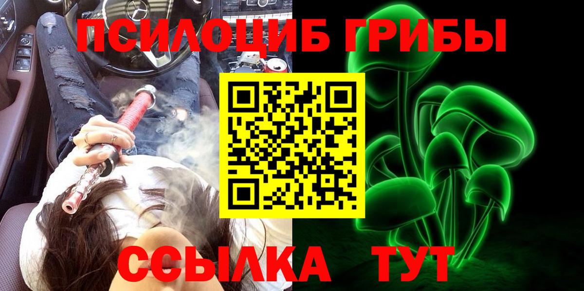 Псилоцибиновые грибы прущие грибы Унеча